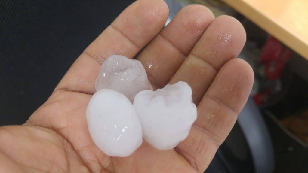 31285127_10156430494174124_6518805111651696640_o