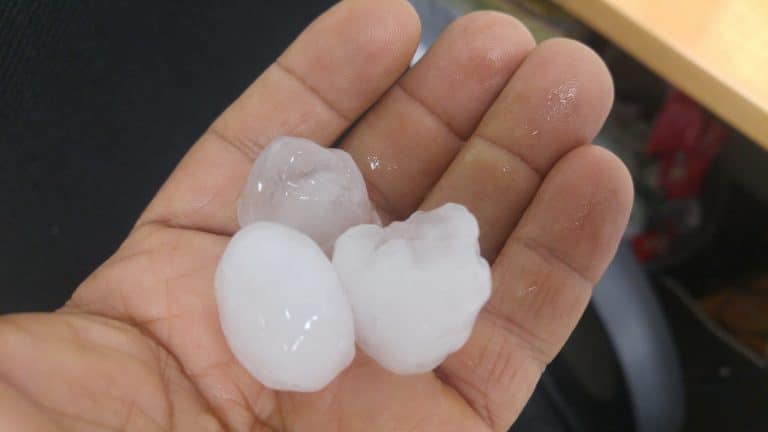 31285127_10156430494174124_6518805111651696640_o