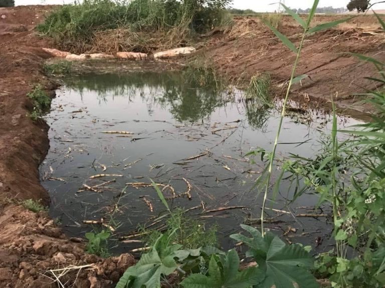 39921085_10156503442023480_7786854580427423744_n