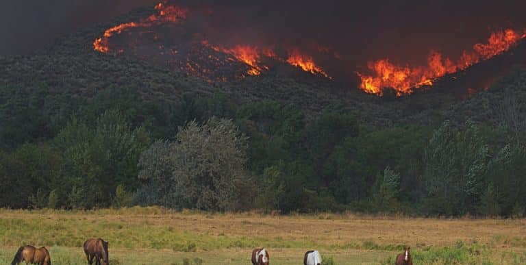 shutterstock_312301349