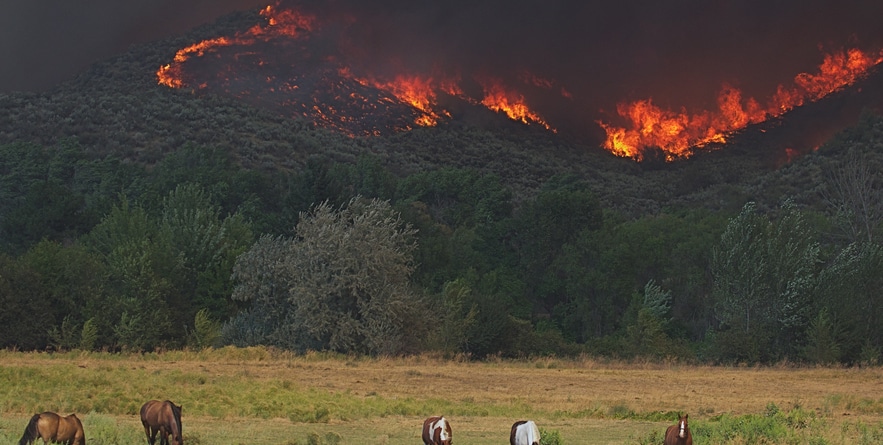 shutterstock_312301349