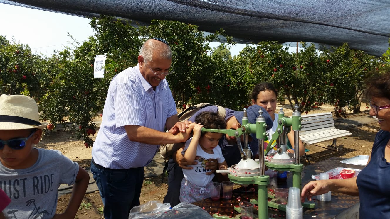 פסטיבל הרימון יואל|פסטיבל הרימון 2|פסטיבל הרימון 3