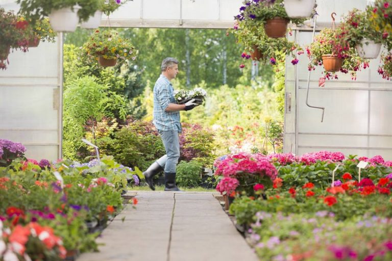 %d7%9e%d7%a9%d7%aa%d7%9c%d7%94