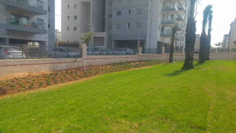 שכונת המדע-פארק3