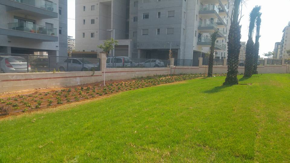 שכונת המדע-פארק3