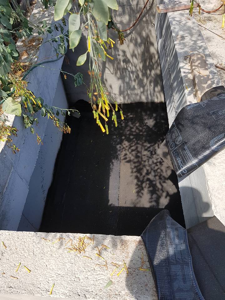 38003786_2170851326459666_587149207916249088_n