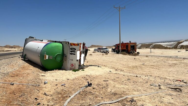 דוברות כבאות והצלה דימונה