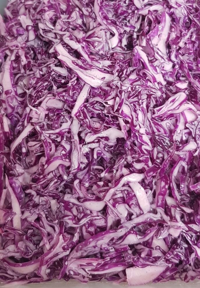 המטבח המנצח אילת2