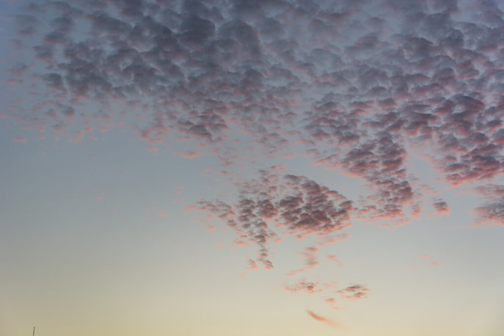 לבשו שכבה נוספת לערבים – הערכת טמפרטורה נשארת נמוכה סביב 10-12 °C בלילה.