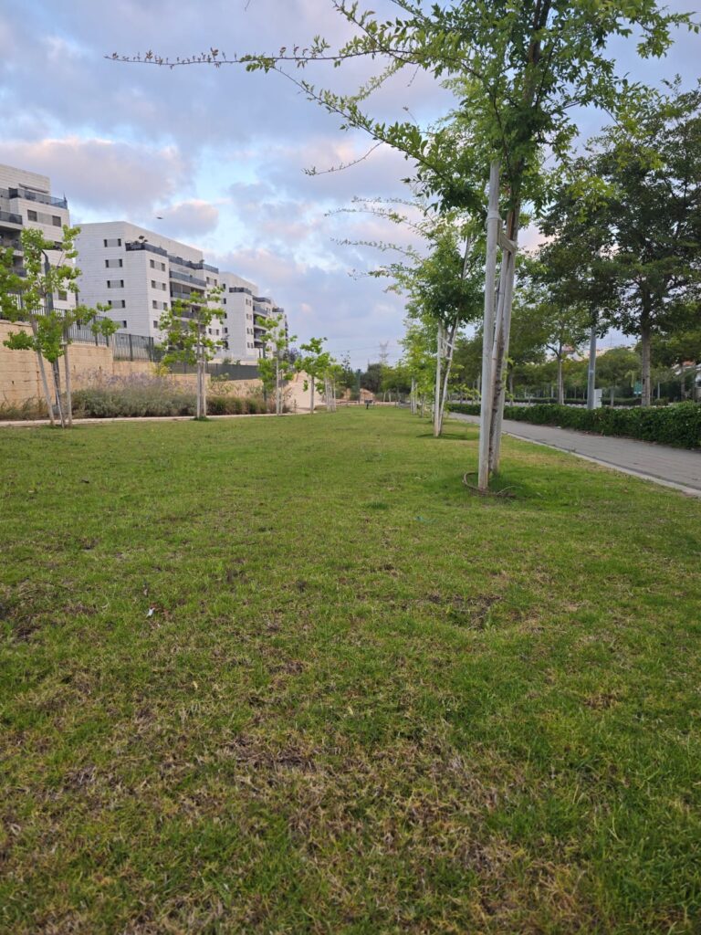 פארק עירוני מטופח בראש העין עם מדשאות ירוקות טבעיות, עצים מצלים, משפחות מטיילות וילדים משחקים בשעות אחר הצהריים באווירה קיצית ונעימה