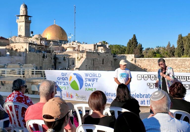 סיסי חומות עפים סביב אבני הכותל המערבי בירושלים בשעת בין ערביים