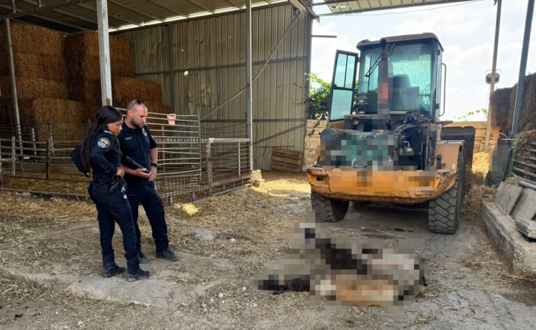 כוחות משטרה וגופי אכיפה במהלך מבצע האכיפה המשולב ברמלה