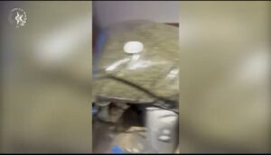קנאביס שנתפס באחת ממעבדות הסמים שנחשפו בבניין מגורים בראשון לציון.