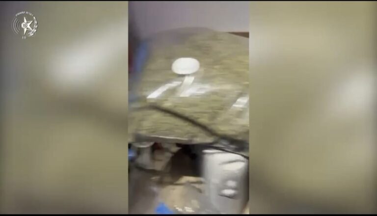 קנאביס שנתפס באחת ממעבדות הסמים שנחשפו בבניין מגורים בראשון לציון.