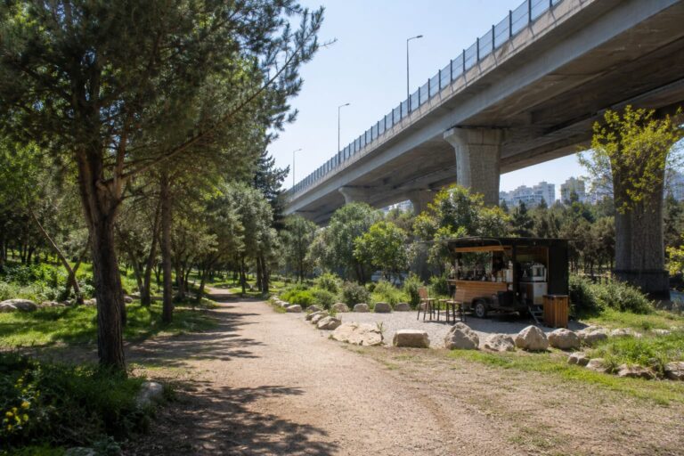 אזור יער ראש העין בסמוך לגשר כביש בן גוריון, עם שביל טבע, צמחייה ועגלת קפה ברקע